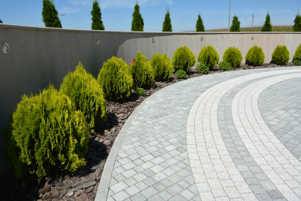 Best Affordable Driveway Pavers  in Red Rock, AZ